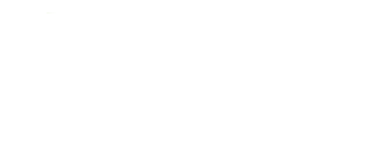 Vivastreet